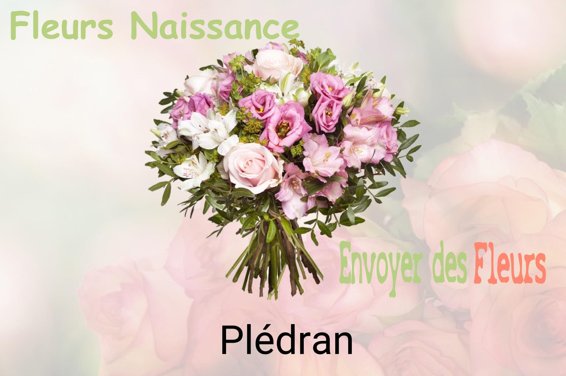 Bouquet de fleurs de naissance livré à Plédran