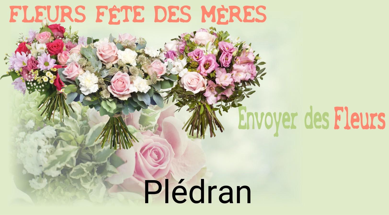 Bouquet de Fête des Mères livré à Plédran